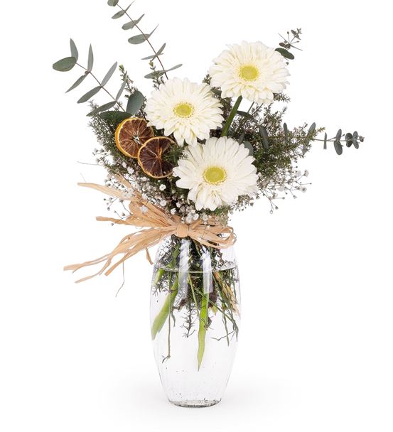 3 States of Beyaz Gerbera Aranjmanı